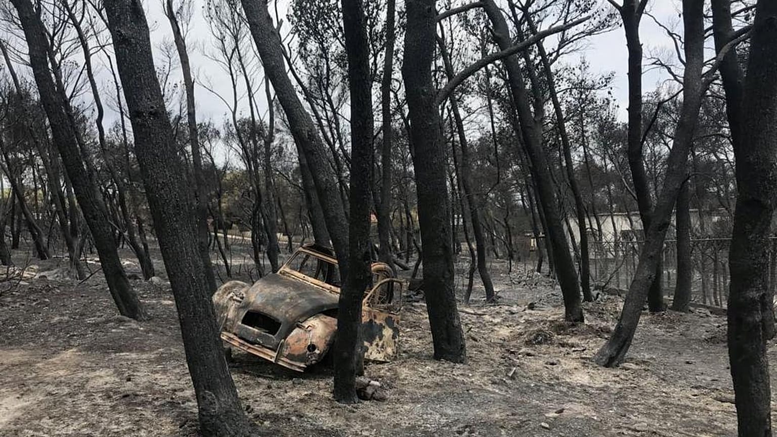 Imagens de satélite mostram 15 focos de incêndio à mesma hora