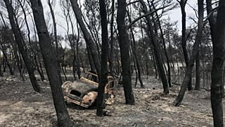 Imagens de satélite mostram 15 focos de incêndio à mesma hora