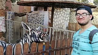 Hayvanat bahçesinde boyalı eşeklerden 'zebra'