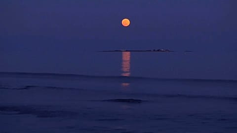 Warten auf den Blutmond