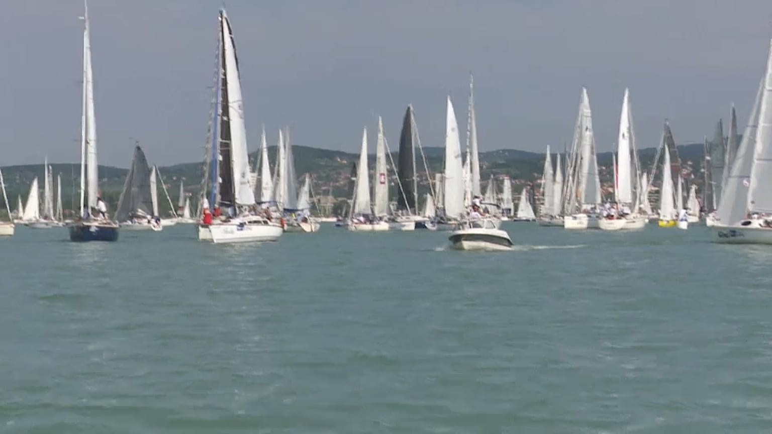 A regata "Blue Ribbon" fez 50 anos e a Euronews esteve lá