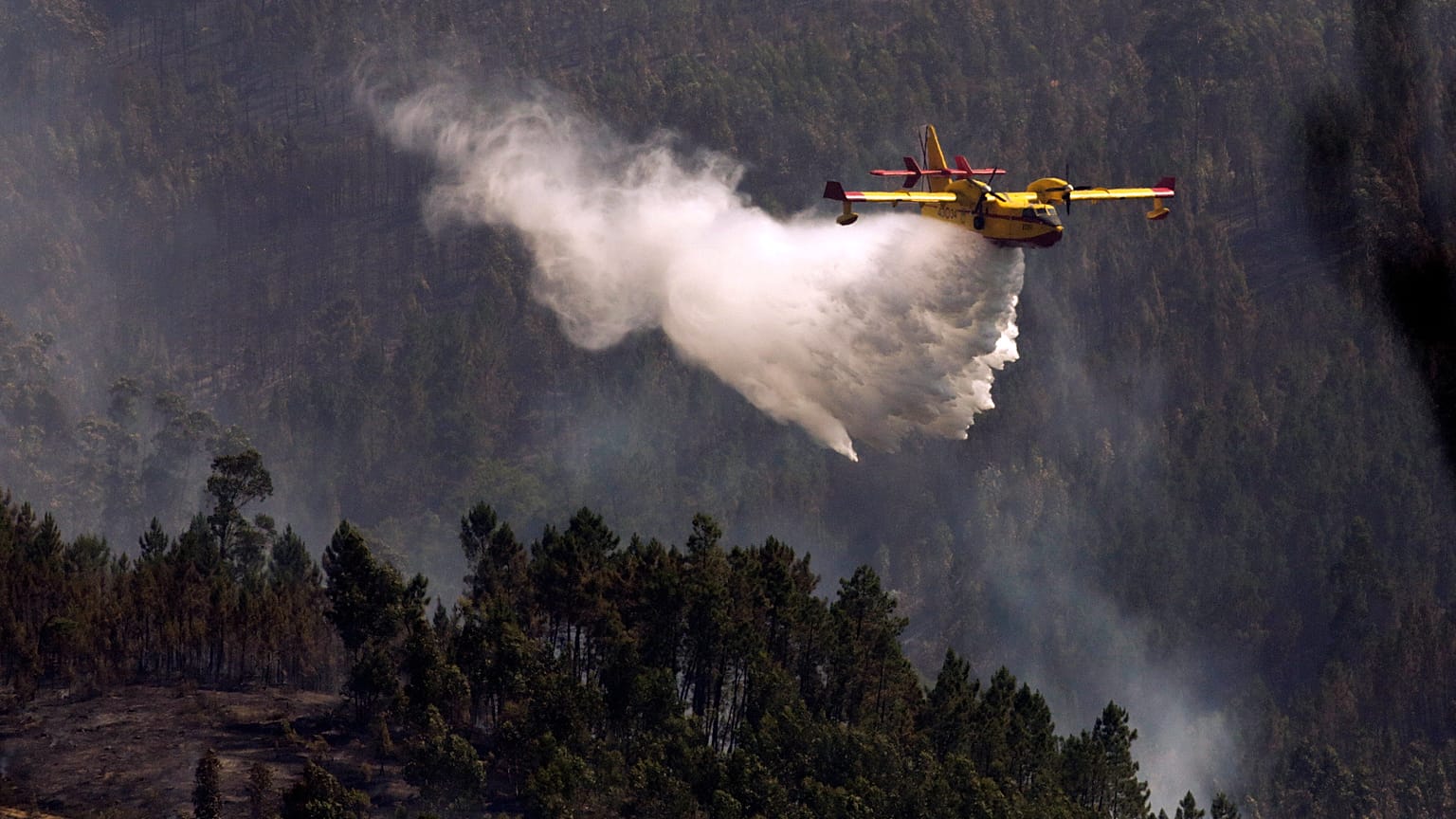 Portugal com risco elevado de incêncio esta semana 