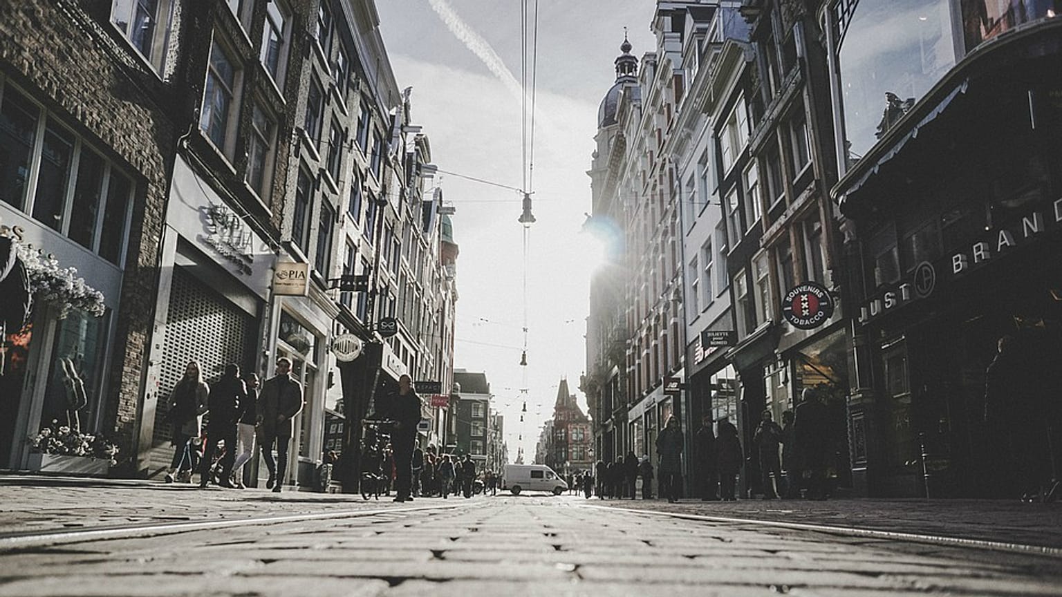 'Amsterdam'da geceleri orman kanunları geçerli'