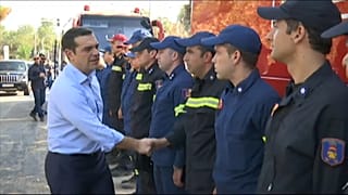 Ципрас на пепелище