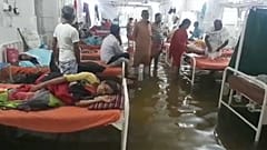 Рыба в больничной палате