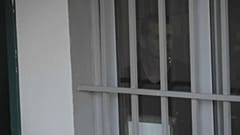 «Ναι» στην έκδοση του Mr Bitcoin από το Συμβούλιο Εφετών