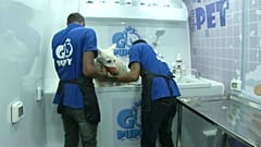 شاهد: سيارة متنقلة تقدم جلسات لتقليم الأظافر وتصفيف الفراء لقطط وكلاب القاهرة 