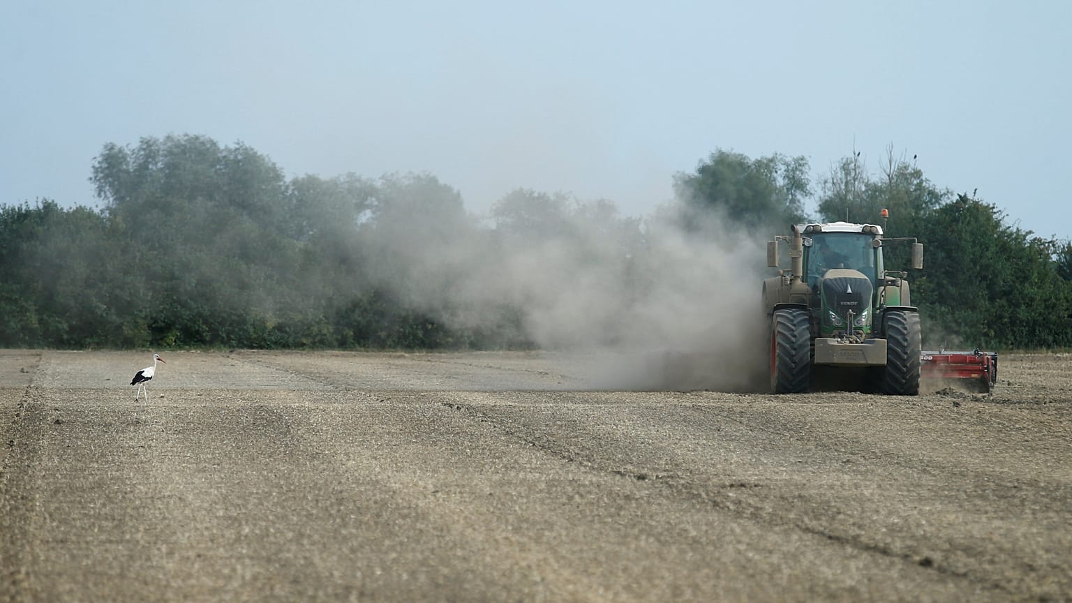 A combine harvester throws up dust in Germany