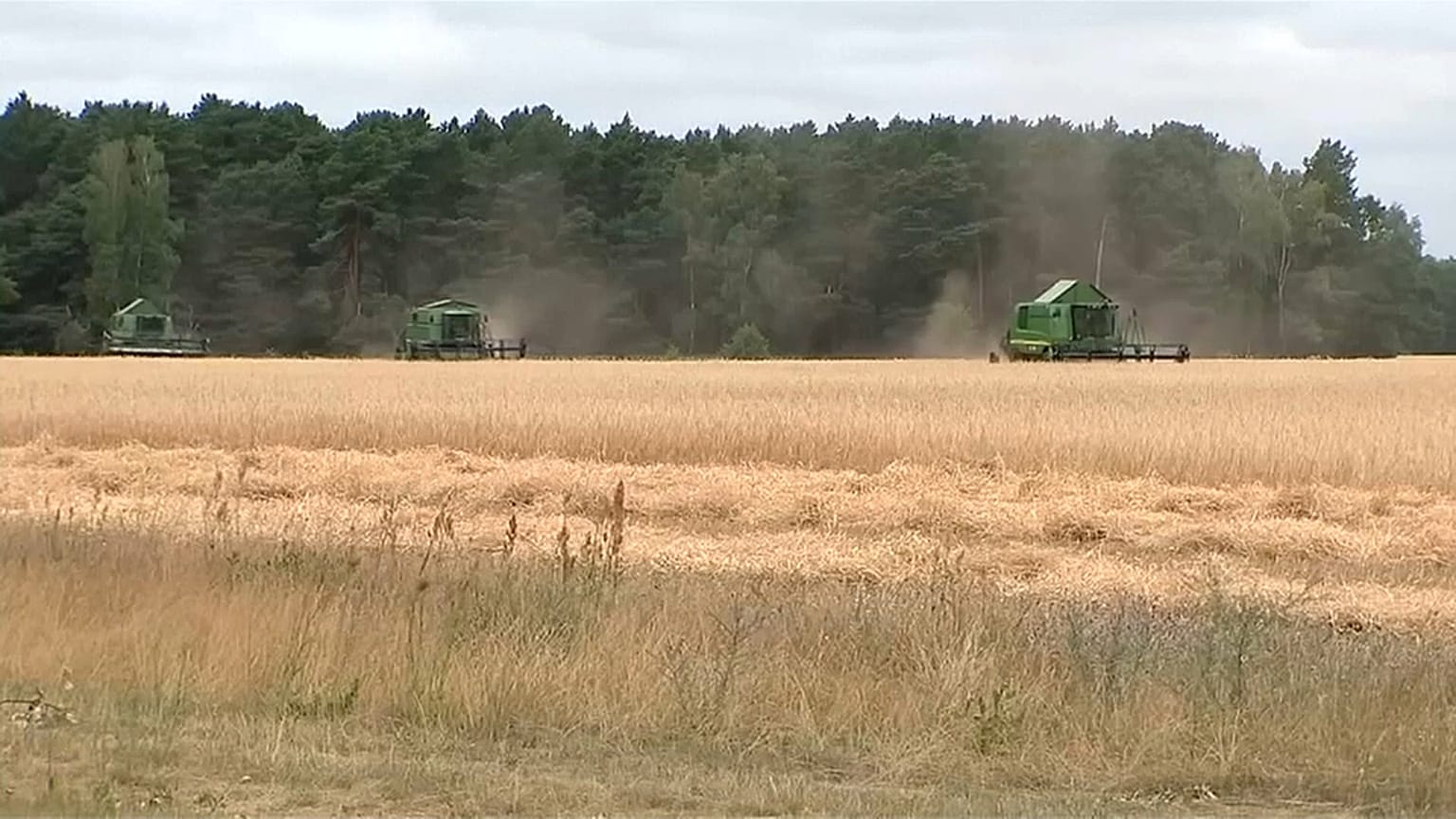 Coup de chaud sur l'agriculture allemande