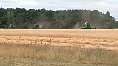 Coup de chaud sur l'agriculture allemande