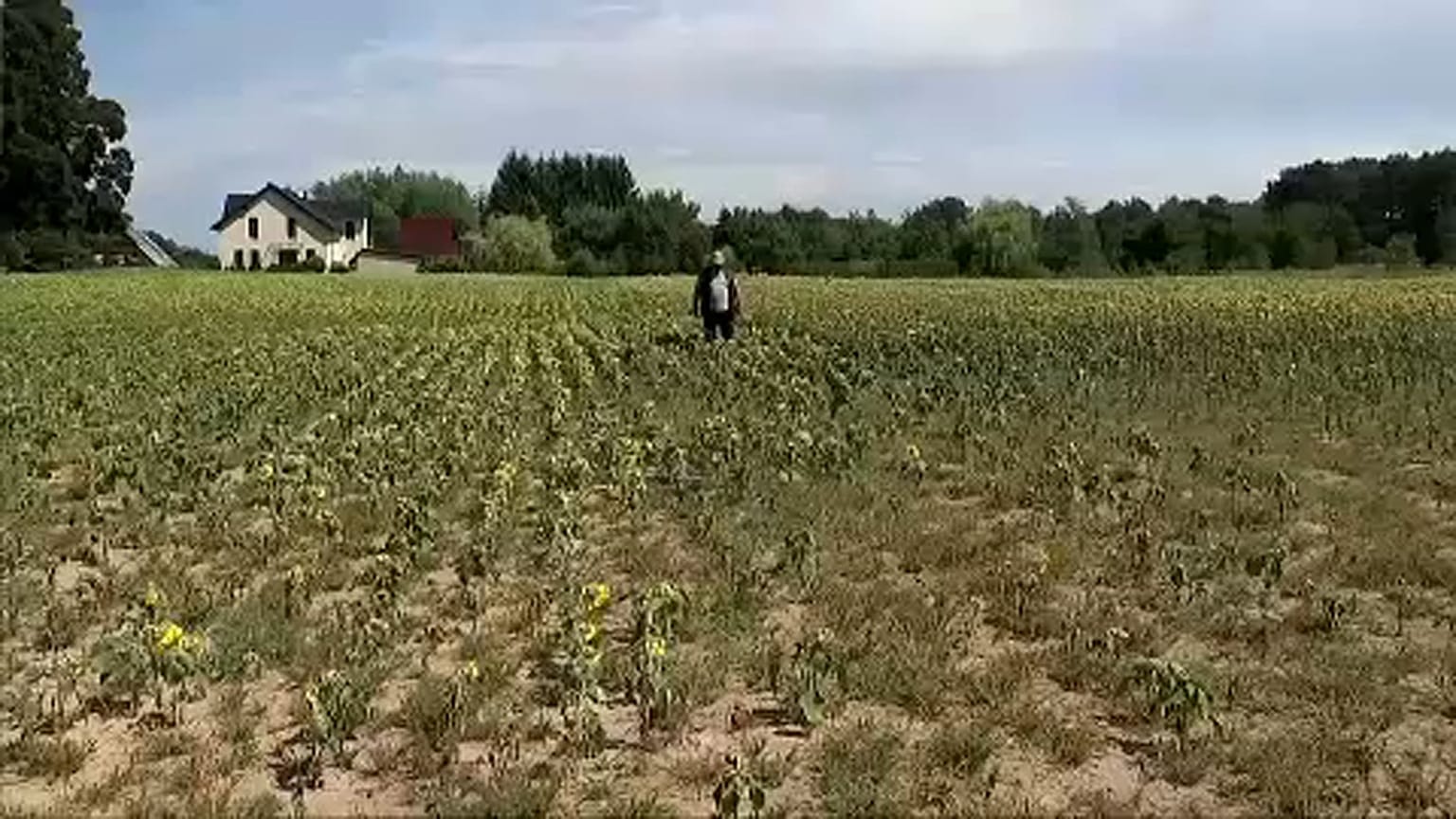 Eurómilliárdos aszálykárok