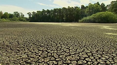 Fish die as river dries up in Germany heat, zoo animals get a cool down, ice bar for humans