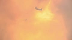 حرائق كاليفورنيا الفتاكة