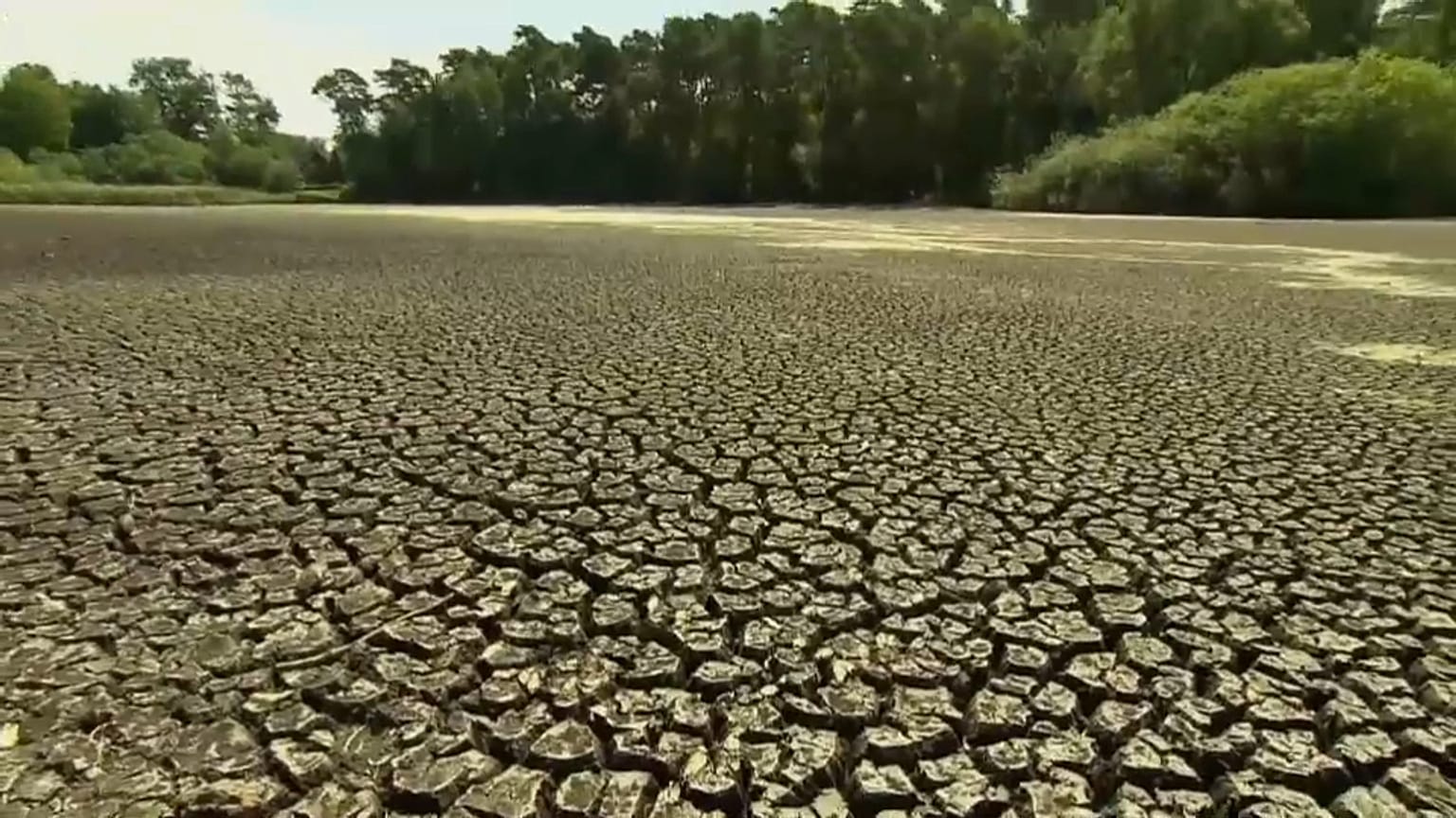 Heatwave deaths to soar dramatically, global study finds
