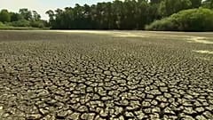 Heatwave deaths to soar dramatically, global study finds