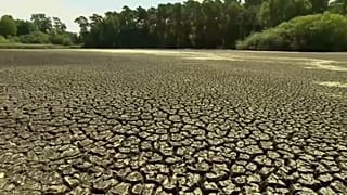 Heatwave deaths to soar dramatically, global study finds