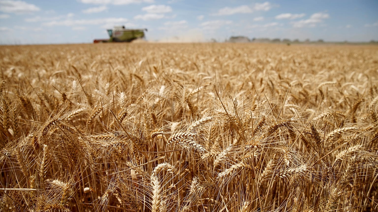 Erdüberlastungstag ist in diesem Jahr schon am 1. August