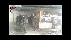 Italia-Ucraina, sei arresti di skinhead che reclutavano mercenari per la guerra nel Donbass