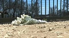 Пожары в Греции: первый иск против властей 