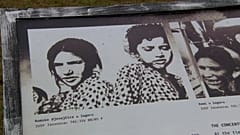 L'Olocausto dimenticato di Rom e Sinti