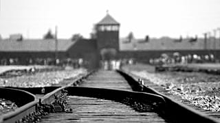 La UE recuerda a las víctimas olvidadas del Holocausto Gitano