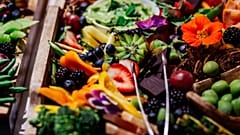 Leading the way to a cleaner future for food