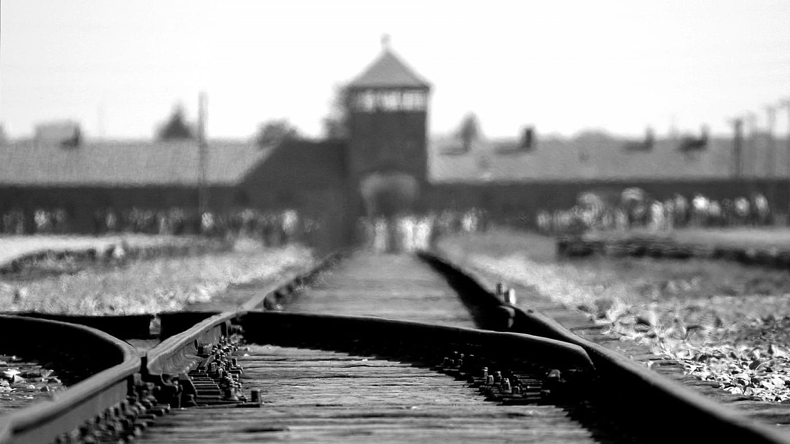 L’UE commémore les Roms, “victimes oubliées de l’Holocauste” 