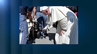 Kaos? No, il vero eroe è Leo