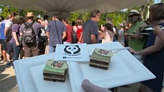 День рождения у панды