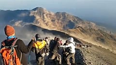 Землетрясение в Индонезии: десятки погибших 