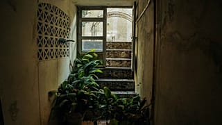 نخستین ویدئو از داخل خانه پدری فروغ فرخزاد منتشر شد