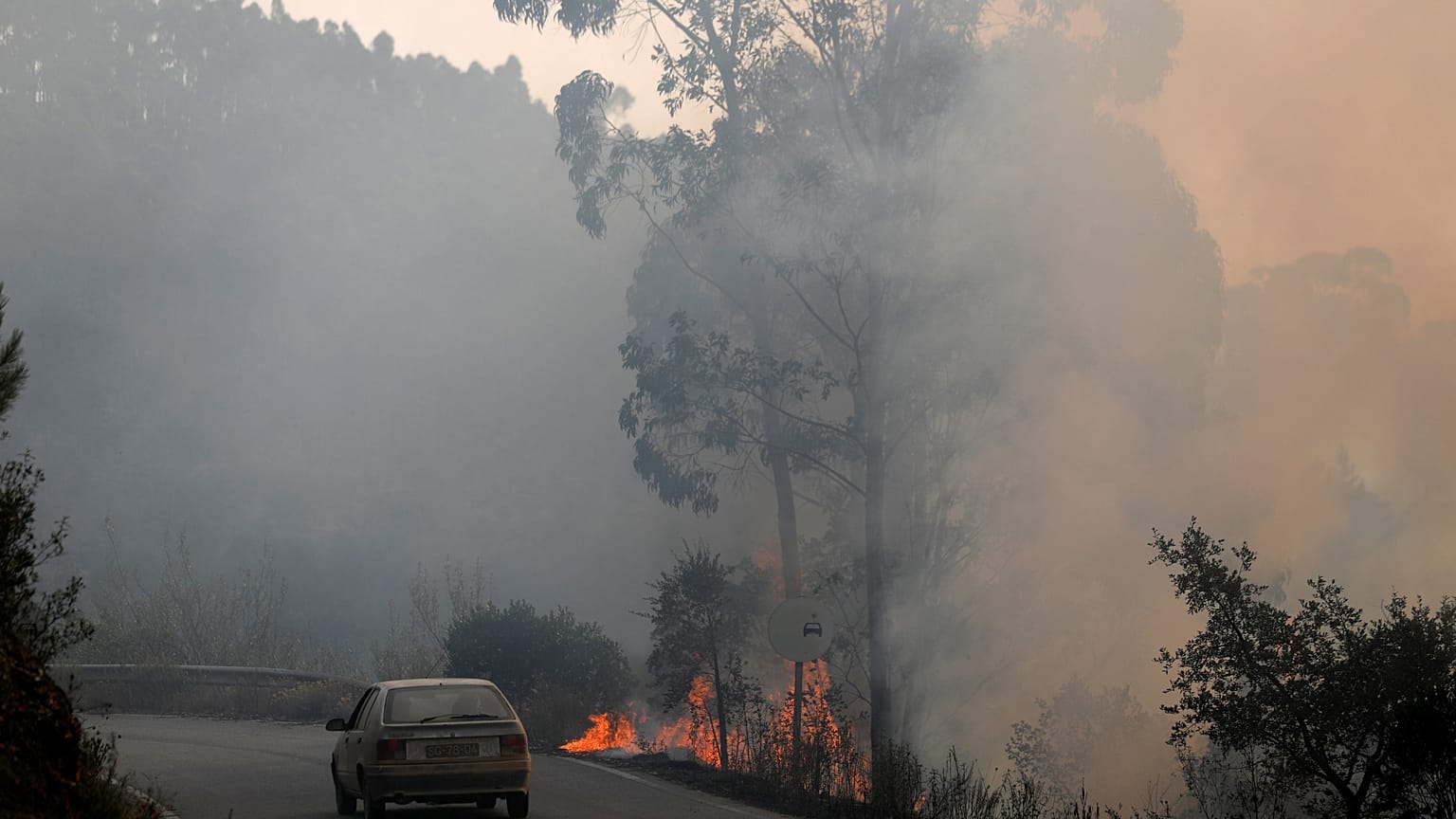 Cinco dias de fogo e muitas questões por responder em Monchique