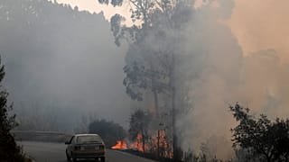 Cinco dias de fogo e muitas questões por responder em Monchique