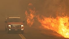 Fogo continua a alastrar em duas frentes a norte de São Francisco