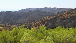 Πυρκαγιά στο Μάτι: Ο παράγοντας κλιματική αλλαγή