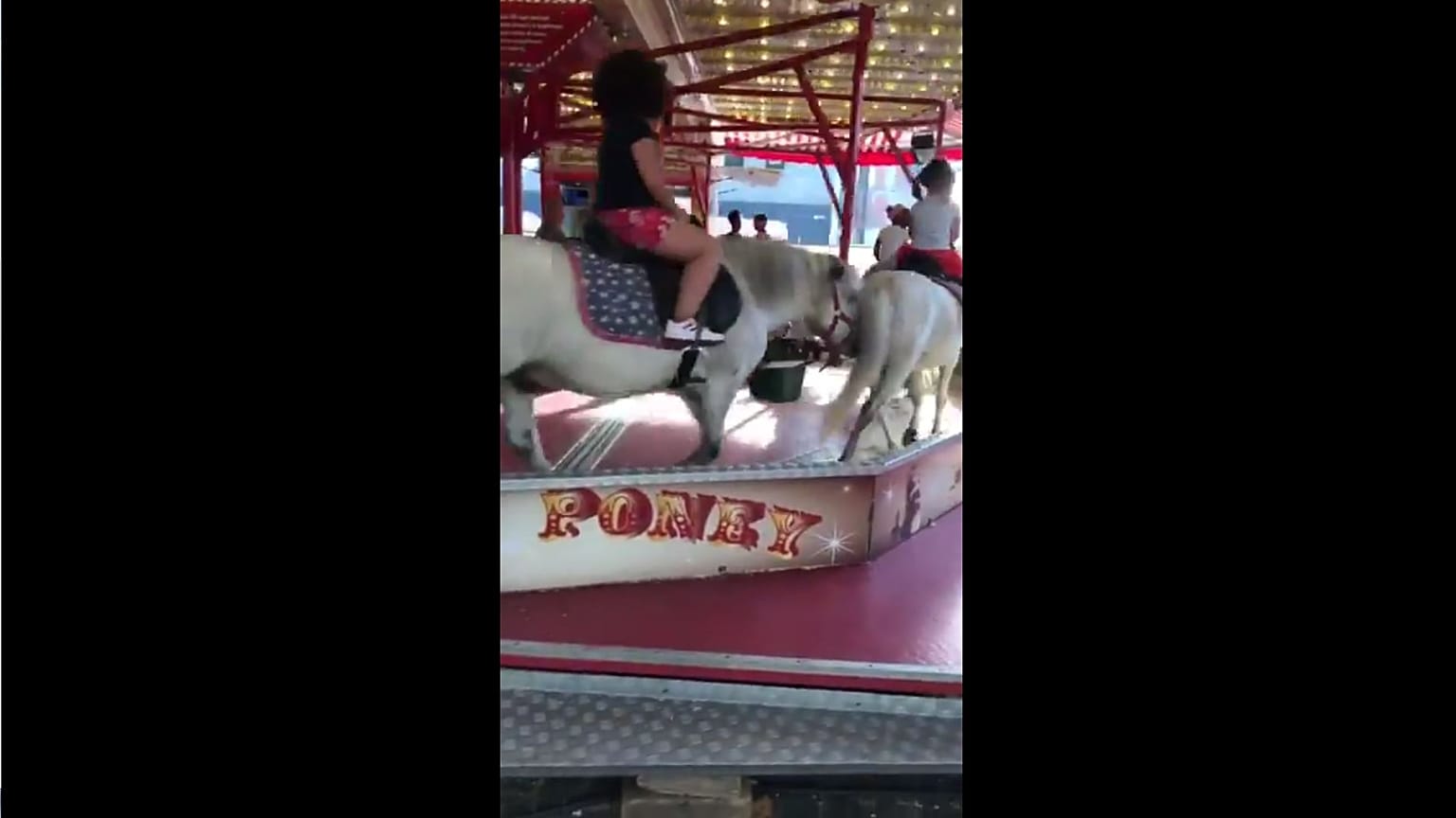 Bruxelles : un manège avec de vrais poneys déclenche un tollé