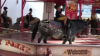 Video: Karussell mit lebenden Ponys sorgt für heftige Kritik im Internet