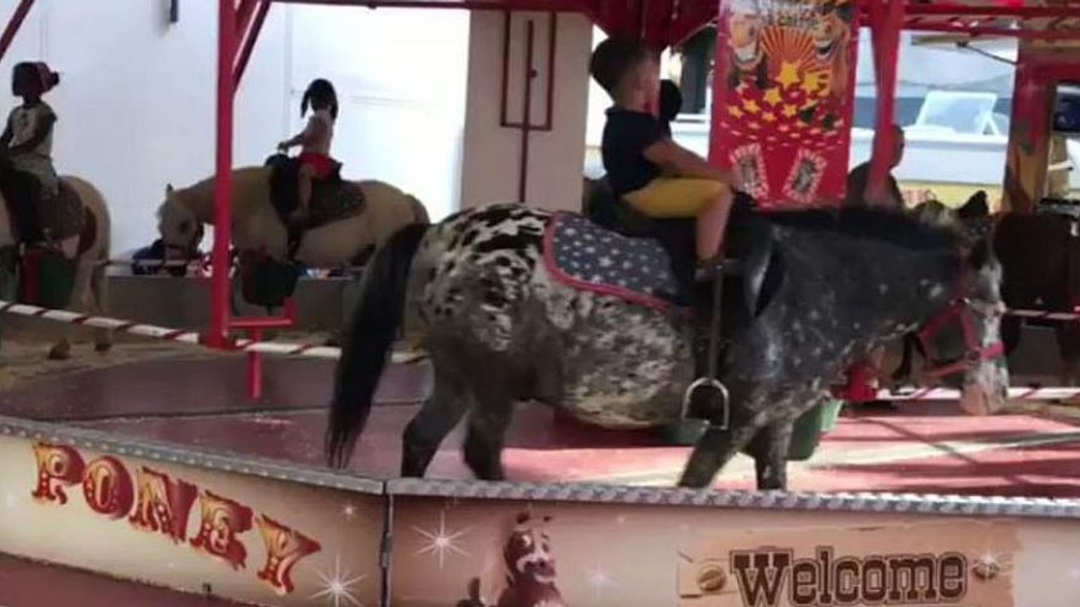 VIDEO - Polemiche a Bruxelles per un carosello con pony veri