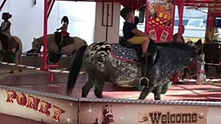 VIDEO - Polemiche a Bruxelles per un carosello con pony veri