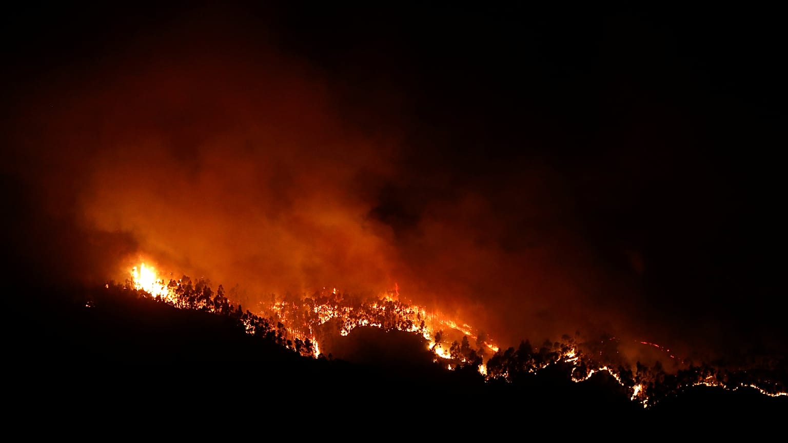World heading toward an uninhabitable 'Hothouse' new study warns
