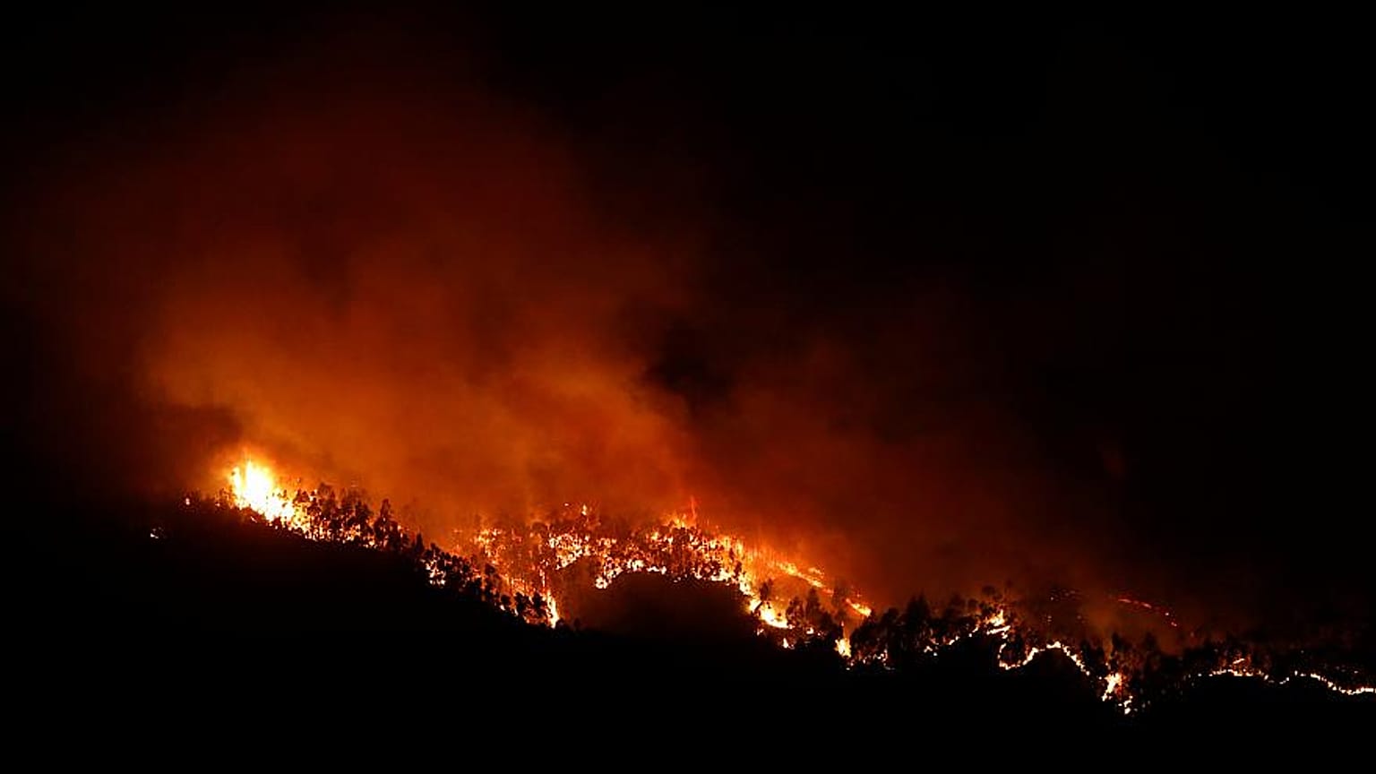 Waldbrände in Kalifornien - ist die Erde bald unbewohnbar?
