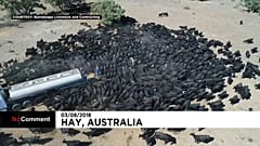 Australia, sequía sin precedentes