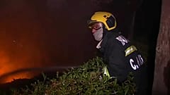 Waldbrände wüten weiter auf iberischer Halbinsel 