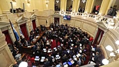 “Hay casos en los que la violación no tiene violencia ": Las polémicas frases del Senado argentino