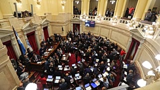 “Hay casos en los que la violación no tiene violencia ": Las polémicas frases del Senado argentino
