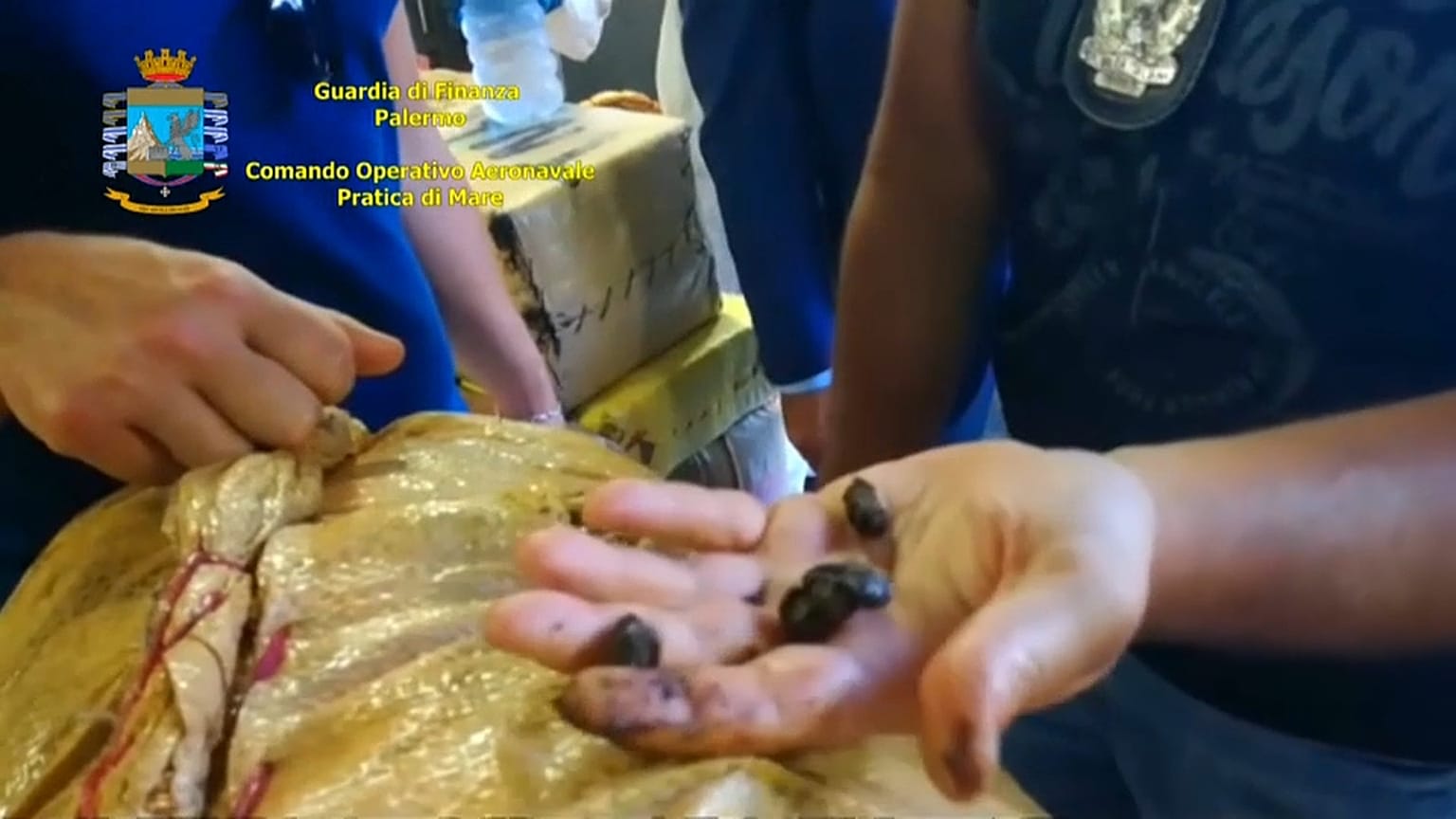 Palermo: le immagini del sequestro di 20 tonnellate di hashish