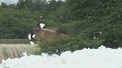 Massive Umweltverschmutzung in Indien