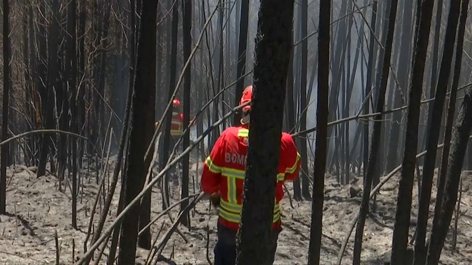 Dominado o maior incêndio na Europa