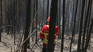 Dominado o maior incêndio na Europa