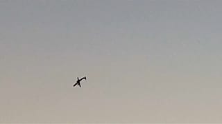 شاهد: آخر لحظات التحليق الدائري والمجنون قبل تحطمّ الطائرة الأميركية المسروقة